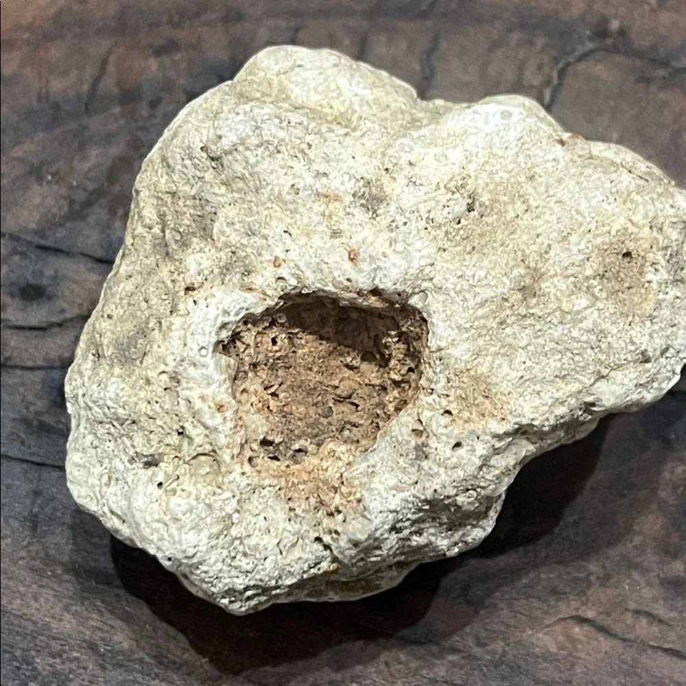 Natural Rock With Holes Found in off grid creek bed Southern TN Set of 2